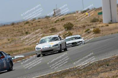 media/May-03-2025-Lucky Dog Racing (Sat) [[206de64b9d]]/Turn 6 (150pm-230pm)/